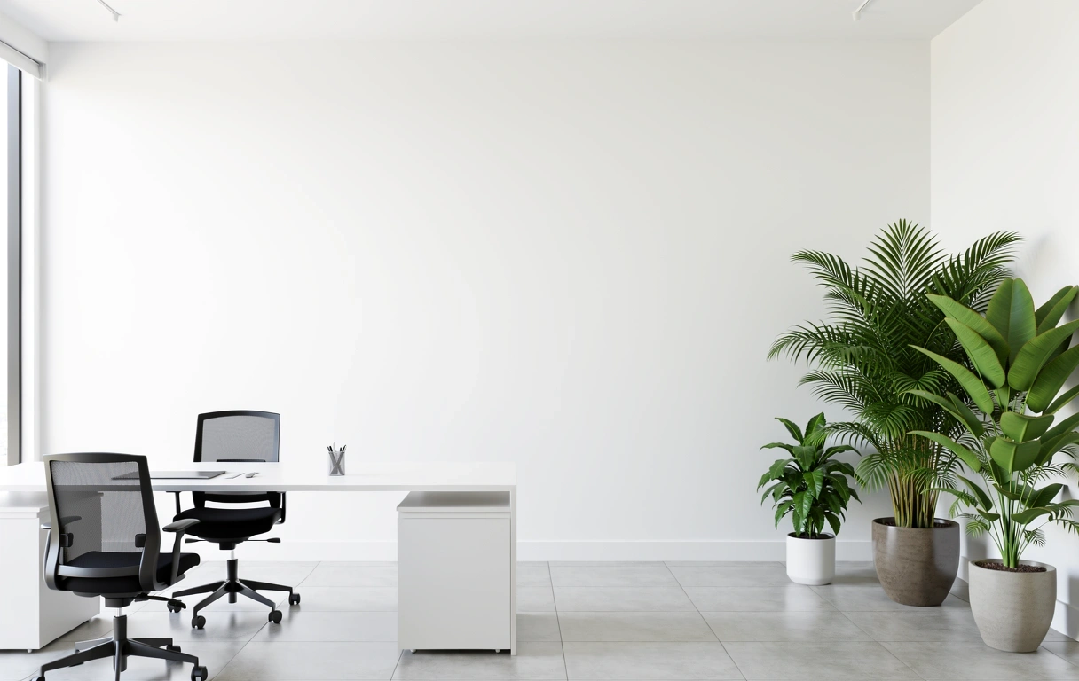 Suplemen Pria Office